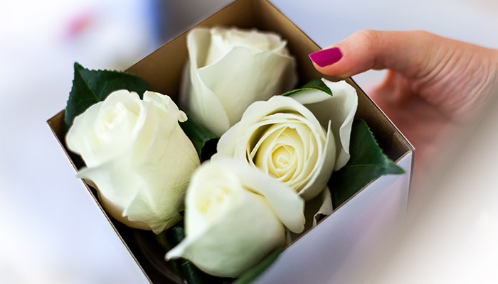 Perth Photography Photographer Birthdayparty